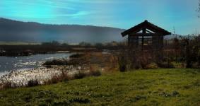 Anne-Rose BOUYER - KAURI ARCHITECTURE